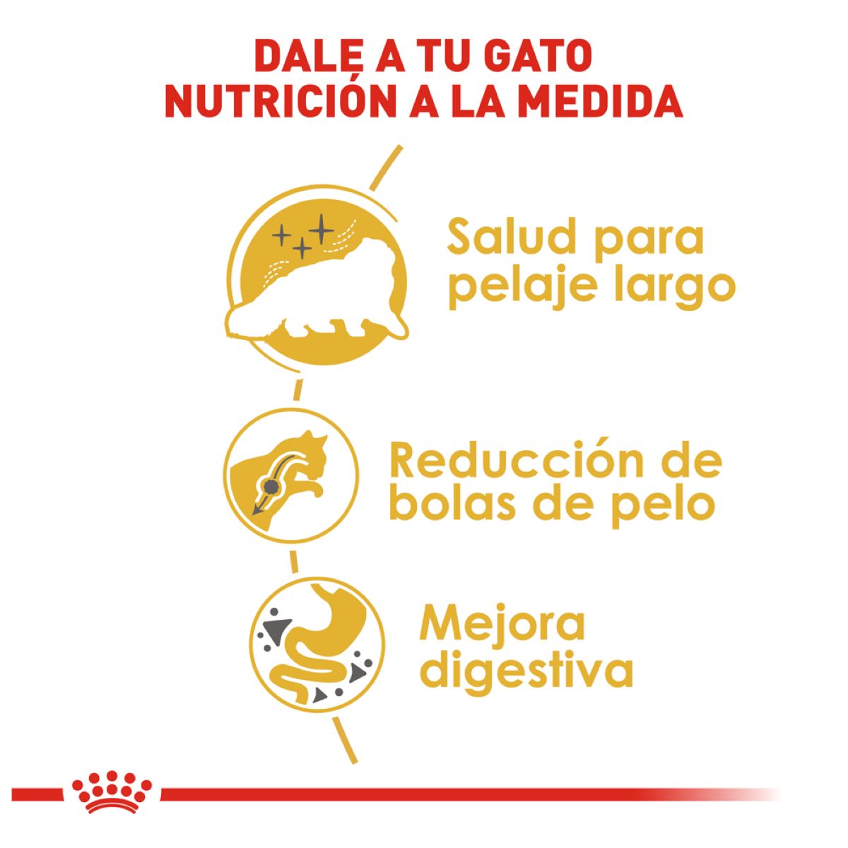 Royal Canin Persian Cat Adult 3.18 Kg - Alimento para Gato Persa Adulto Royal Canin Persian Cat Adult 3.18 Kg - Alimento para Gato Persa Adulto